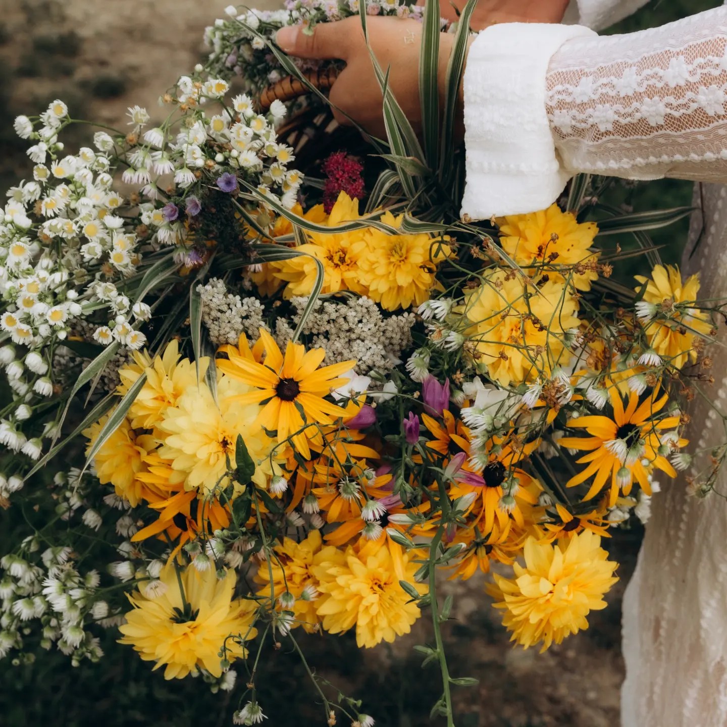 gallery_photo